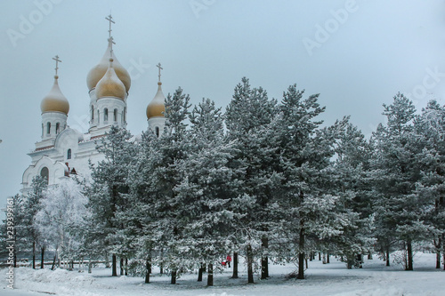 Russian winter. Arkhangelsk