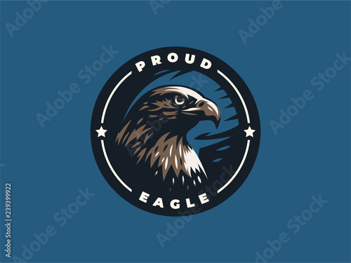 Eagle or hawk with outstretched wings. 