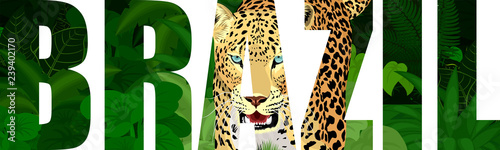 vector Brazil illustration with jaguar