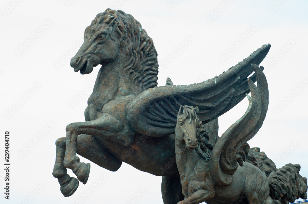 Pegaso 1