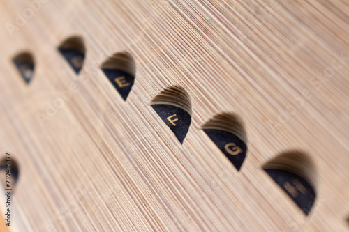 Focus on Lettter F Dictionary