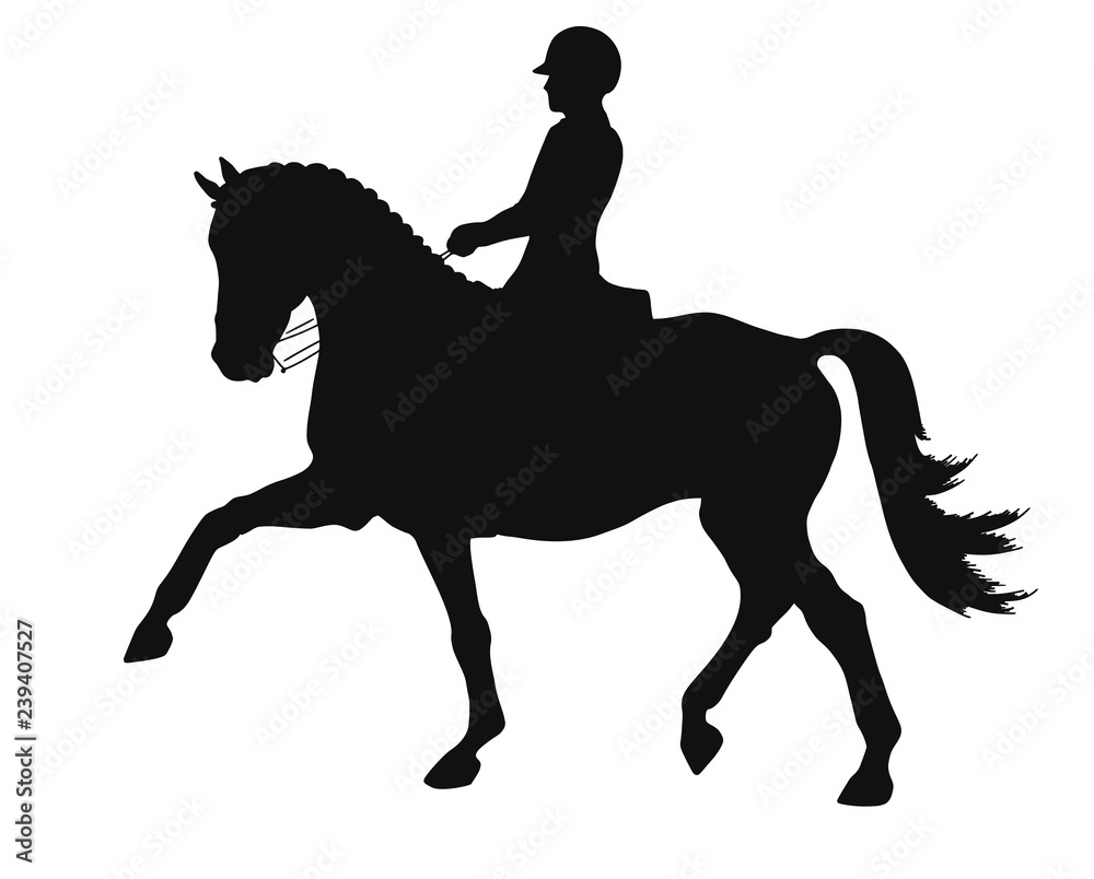 Equestrian sport, advanced dressage test, expression trot, silhouette
