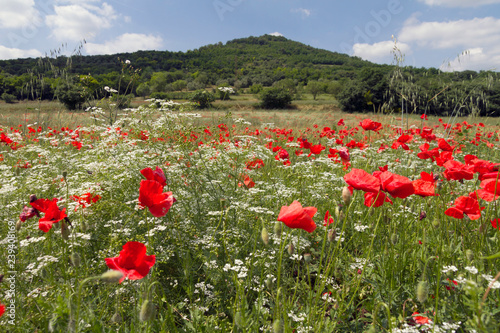 Panorami dei Colli Euganei  Veneto