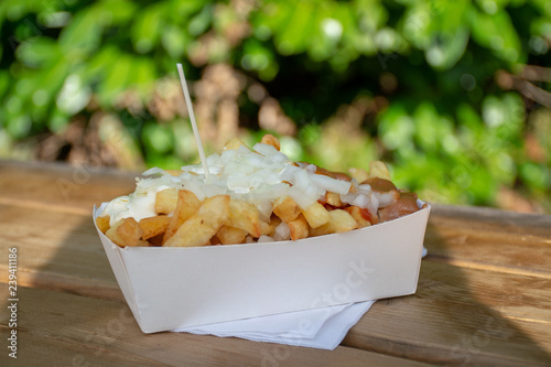 Portion of fresh fried Belgium potatoes sticks with inion, ketshup and sate sauce photo