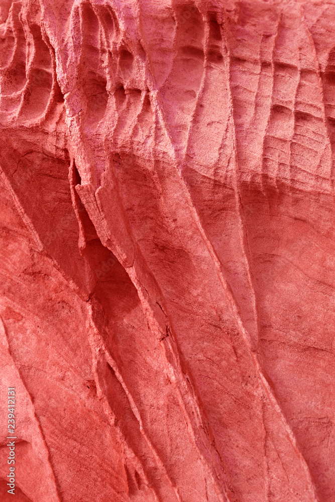 Living Coral color background and texture, color of the 2019 - Image