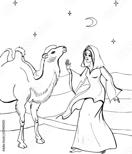 A camel with a beautiful woman. Coloring book.  36
