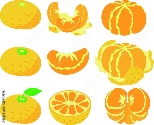 Japanese Mandarin orange set