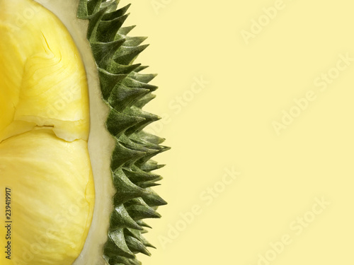 Fresh cut durian on pastel yellow background, king of fruit from Thailand, close up with copy space