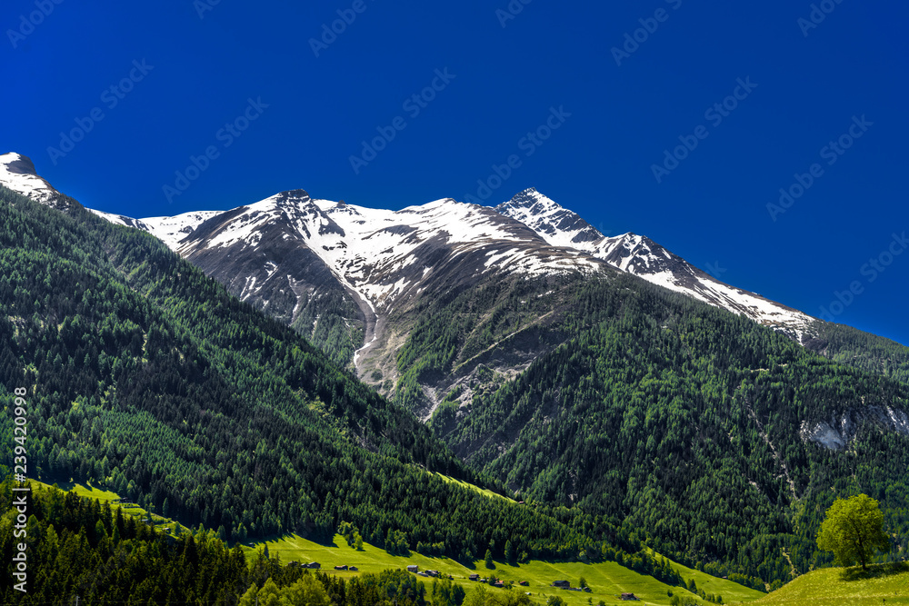 Alp mountains covered with forest, Fiesch, Goms, Wallis, Valais,