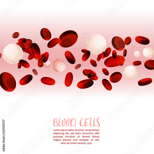Blood cells banners