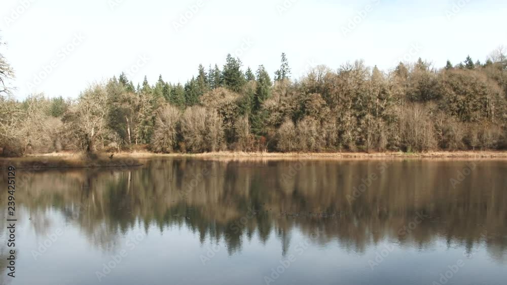 Camera pan at calm lake in autumn with forest trees reflecting in water. Camera pan at calm lake in autumn with forest trees reflecting in water.