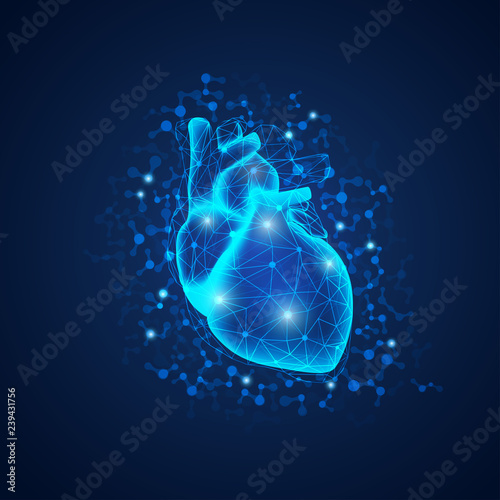 graphic of realistic heart with polygonal structure in scientific style, concept of science technology advancement 