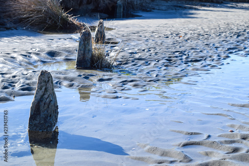 The blue sky reflected int he beach pools in Gisborne, New Zealand. photo