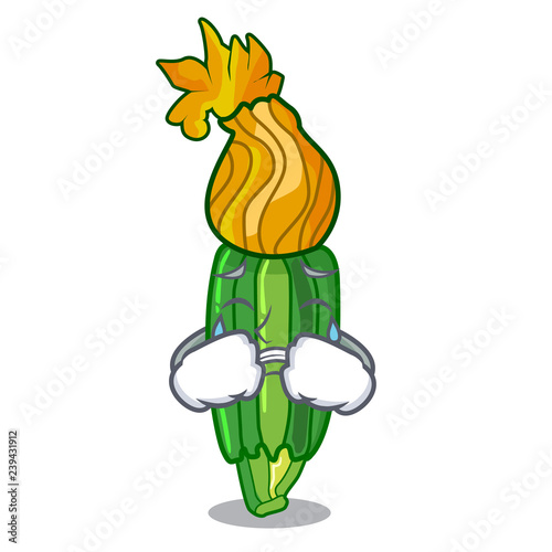 Crying flowers character on a zuchini funny