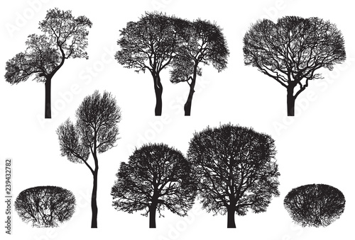Tree silhouettes - black vector image isolated on white background. Realistic detailed graphic illustration of natural forest plant with bare branches without leaves.