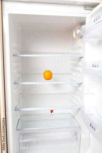 Orange lies in empty refrigerator.