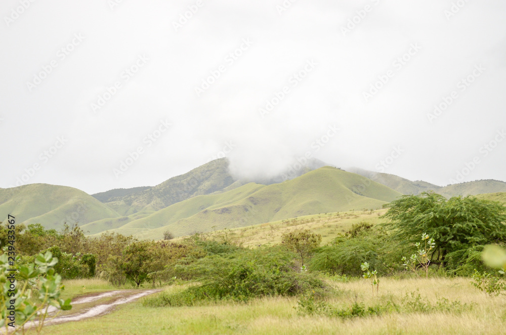 Fototapeta premium landscape with mountains and clouds