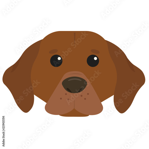 brown dog head vector drawing portrait