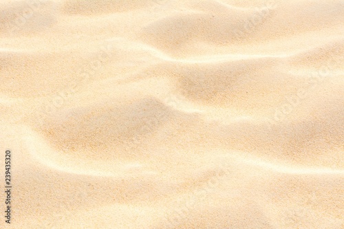 The beach sand texture full frame background