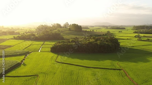 Sunset over the plantations. Large plantations in Brazil. City of Meleiro. Aerial view of rice plantation. 4K footage. Santa Catarina state. Family farming. Rice. photo