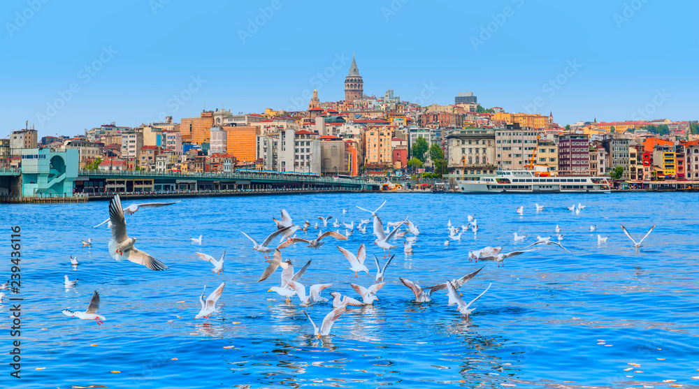 Fototapeta premium Galata Tower, Galata Bridge, Karakoy district and Golden Horn at morning, istanbul - Turkey - Large flock of seagulls flying at the sea