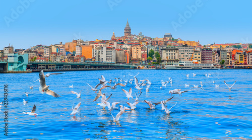 Galata Tower, Galata Bridge, Karakoy district and Golden Horn at morning, istanbul - Turkey - Large flock of seagulls flying at the sea