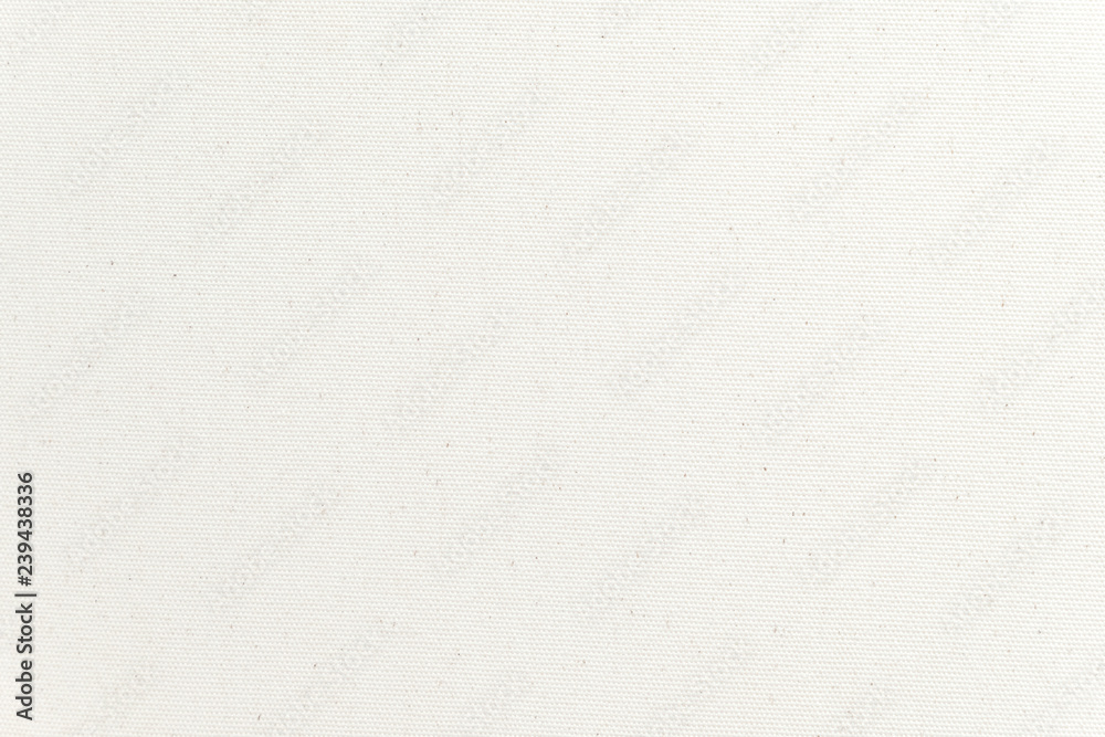 White canvas texture background. Close-up. White canvas texture background. Close-up.
