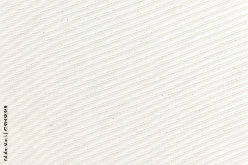 White canvas texture background. Close-up. White canvas texture background. Close-up.