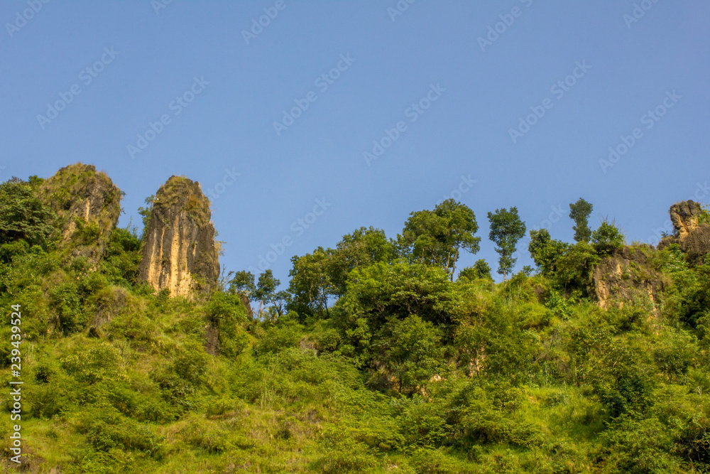 bright green mountainside with grass and trees and rocks under the blue sky