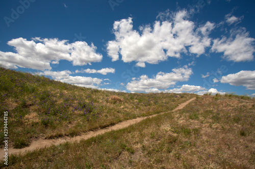 road in the field © sangwon