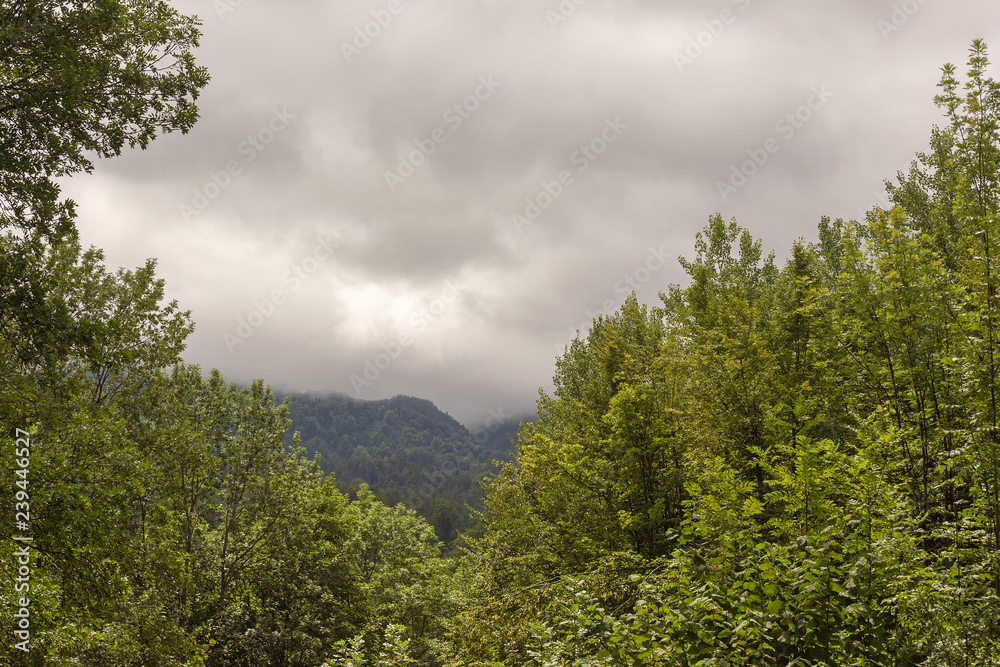 Road of nountain summer.