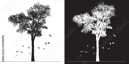 Tree silhouette and birds - black and white vector illustration.