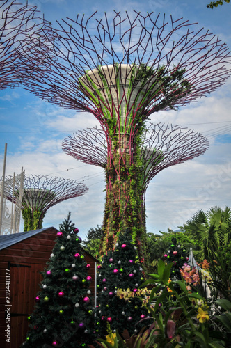 GARDEN RHAPSODY, Super Tree Grove, Singapore, November 2018