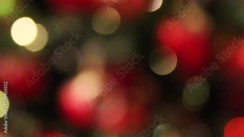 Out of focus Christmas lights on a Christmas tree. photo