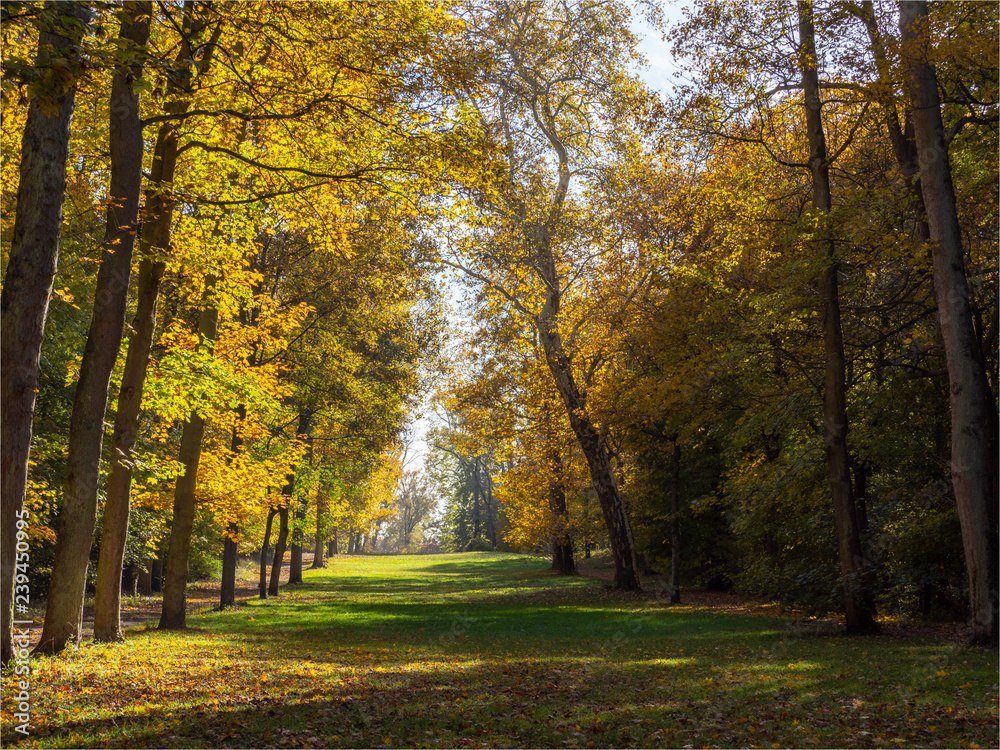 paysage d'automne au Parc de Saint Cloud près de Paris paysage d'automne au Parc de Saint Cloud près de Paris