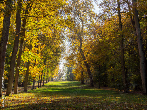 paysage d'automne au Parc de Saint Cloud près de Paris