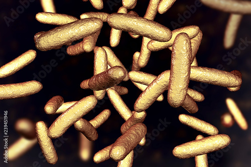 Bacteria Citrobacter, Gram-negative coliform bacteria from Enterobacteriaceae family, 3D illustration. They are found in human intestine and can cause urinary infections, infant meningitis and sepsis photo