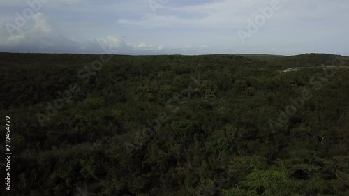 AERIAL: flight from the coast of an island towards its interior, showing its abundant vegetation and great extencion photo