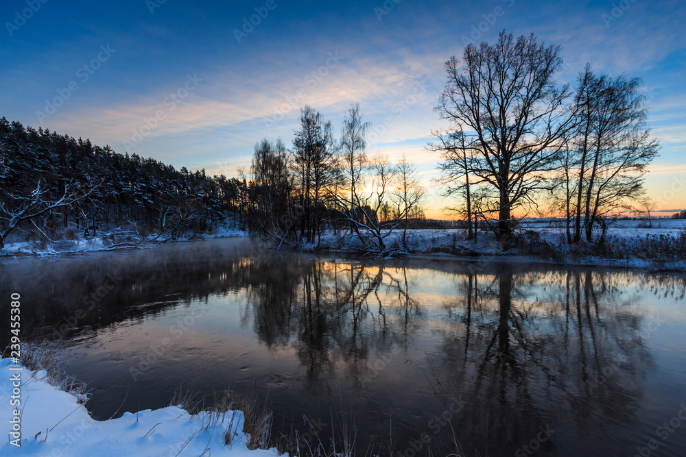 trees and grass in the frost by the river in winter