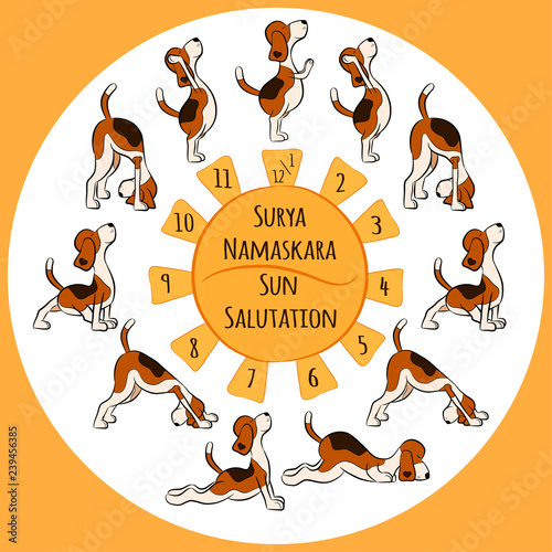 cartoon funny dog doing yoga position of Surya Namaskara