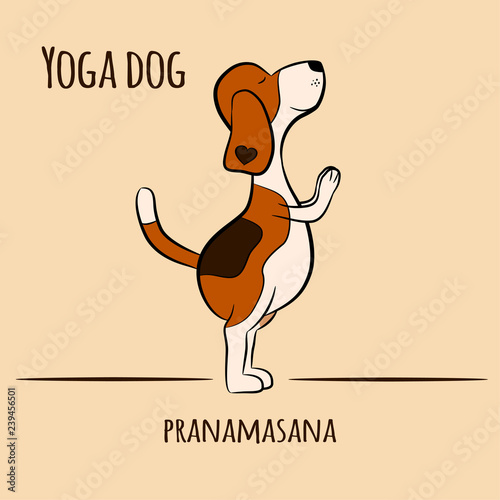 Wallpaper Mural Cartoon dog shows yoga pose Surya Namaskara Torontodigital.ca