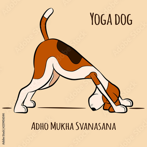 dog shows yoga pose Adho Mukha Svanasana