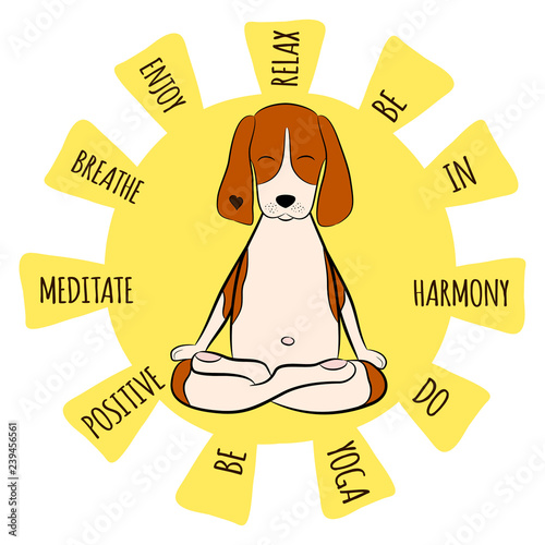 Image of a cartoon funny dog beagle sitting on lotus position of