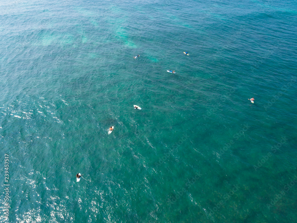 Aerial view from drone of surfers paddling for catching waves during surfing  in the indian ocean