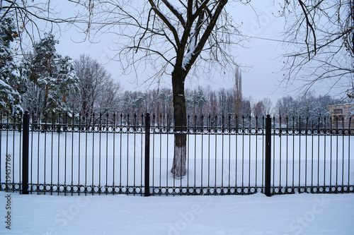 View of a metal fence on the background of snowy nature.