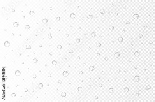 Vector water drops on transparent background. 3d realistic rain small drops or bubbles without shadows. pure water splashes for light transparent surface. Many sizes and forms. 