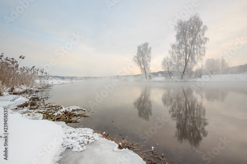 trees and grass in the frost by the river in winter © Uladzimir