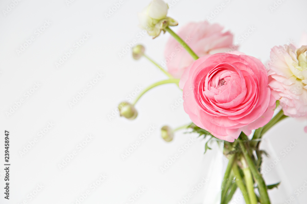 Fototapeta premium ranunculus in vase
