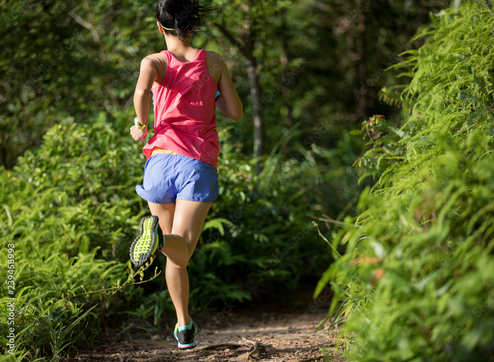 young fitness woman trail runner running on forest trail young fitness woman trail runner running on forest trail