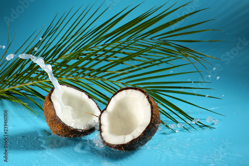 Halves of ripe coconut, palm leaves and splash of milk on color background